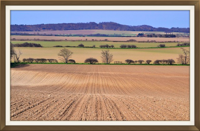 8717789377_d3413d2731_b